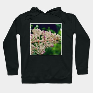 Pink Flowers Photography design with blue sky nature lovers Hoodie